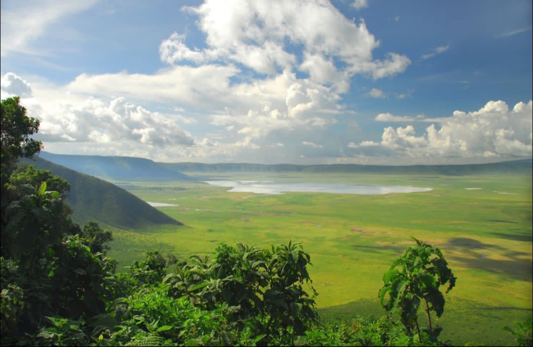 3DAYS LAKE MANYARA| NGORONGORO|TARANGIRE